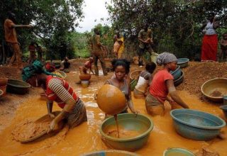 GHANA SHOULD BE STRIPPED-OFF POSITION AS CO-CHAIR OF THE FOREST AND CLIMATE LEADERS PARTNERSHIP – A ROCHA